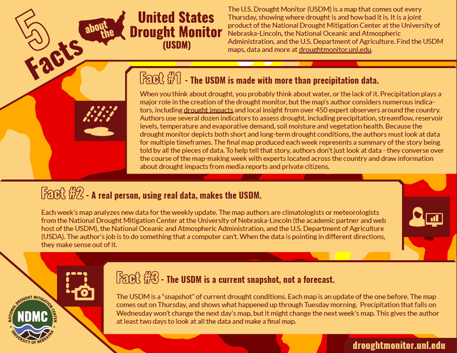 Five Facts about the USDM